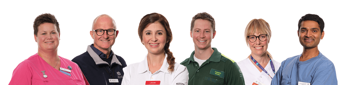 Region Sörmland banner