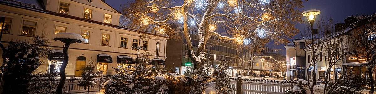 Växjö kommun banner